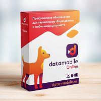 DataMobile Online версия LifeTime