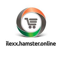 ilexx.hamster.online