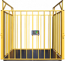 Весы платформенные ВЭТ-1-1С-Ж