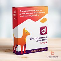 DM.Основные средства: Invent - подписка на 12 месяцев